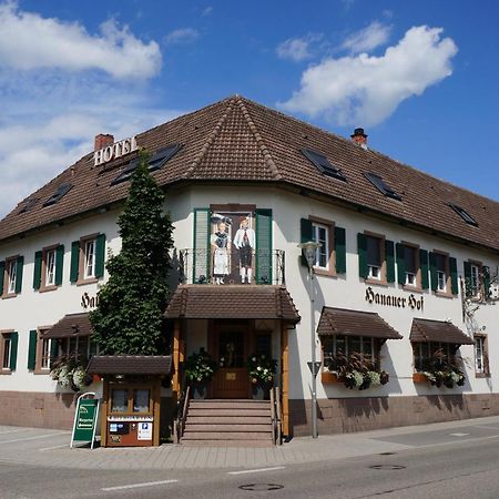 Hotel Hanauerhof Апенвайер Екстериор снимка